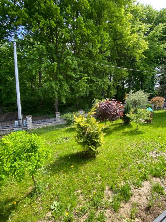 Agroturystyka ‚U Misia' Krzywoploty  Exteriér fotografie