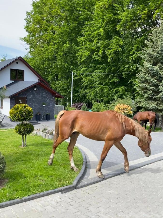 Agroturystyka ‚U Misia' Krzywoploty  Exteriér fotografie